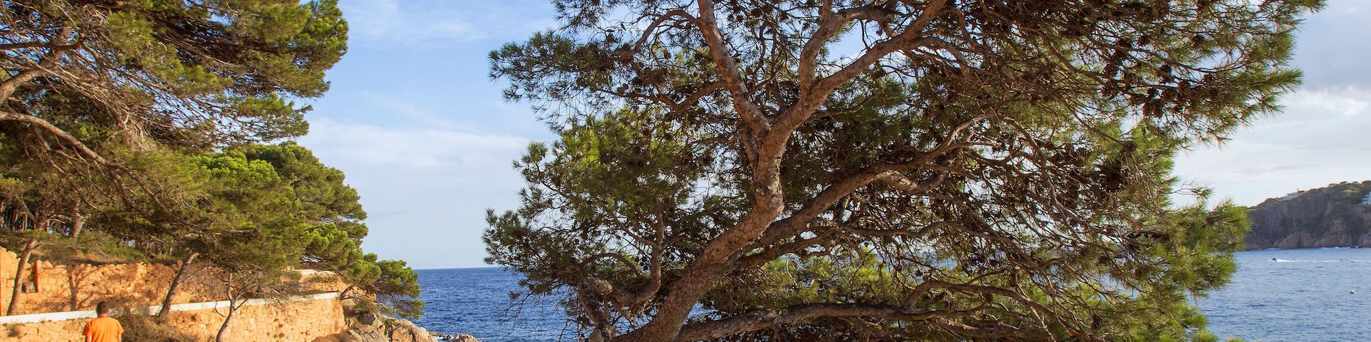 Paysage de la Costa Brava pres de Barcelone