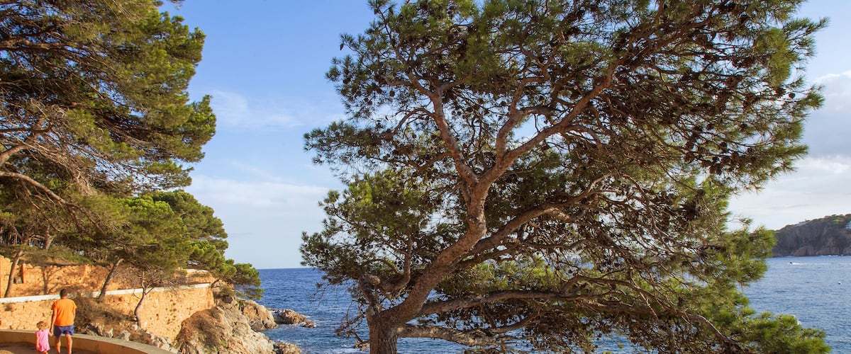 Paysage de la Costa Brava pres de Barcelone