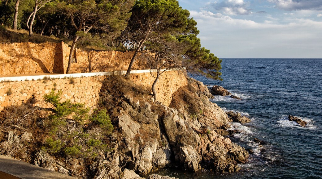 Paysage de la Costa Brava pres de Barcelone