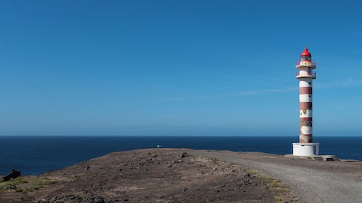 Sardina Gran Canaria January 2016