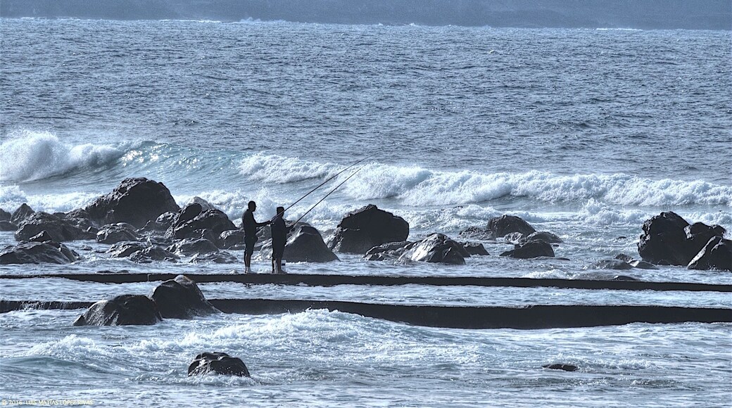 Pescadores en la costa canaria.