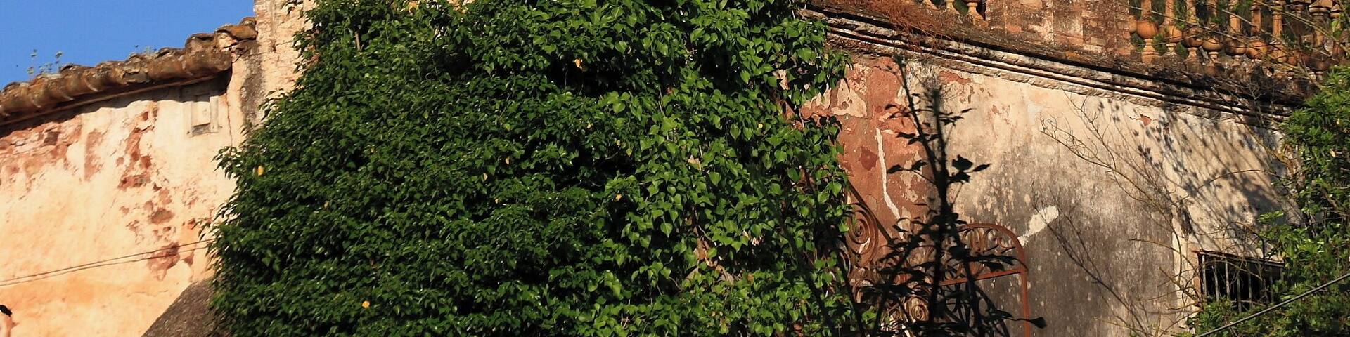 Can Pitarra (Cervelló)