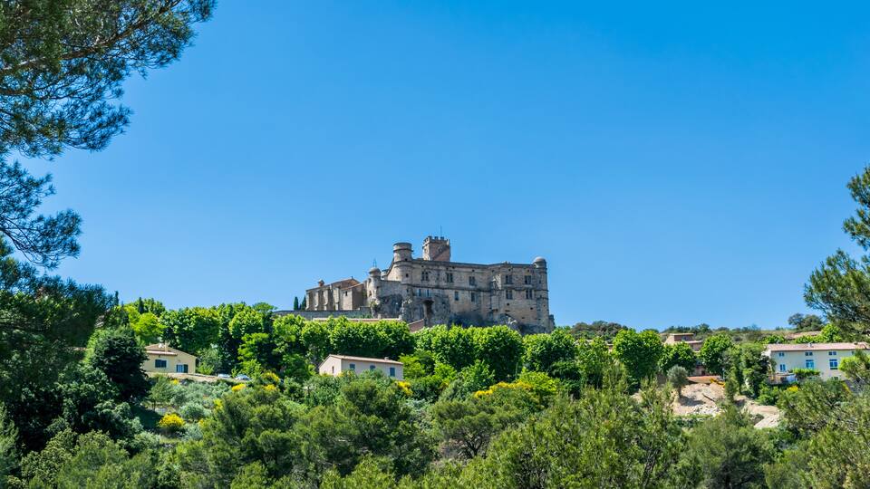 A historic castle surrounded by lush greenery and residential buildings.