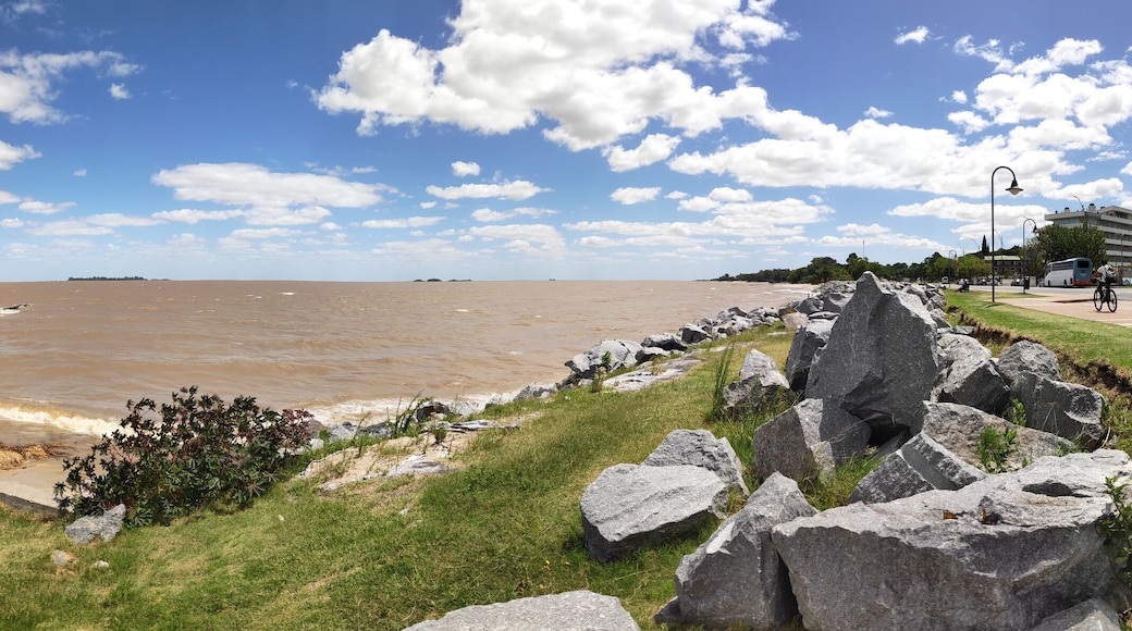 سيوداد دي لا كوستا