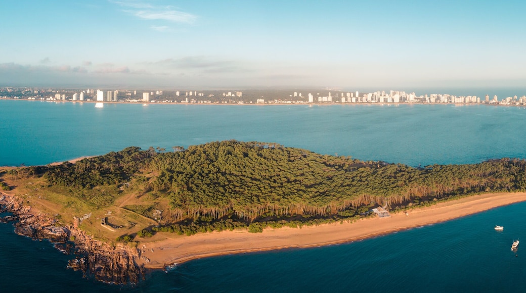 سيوداد دي لا كوستا