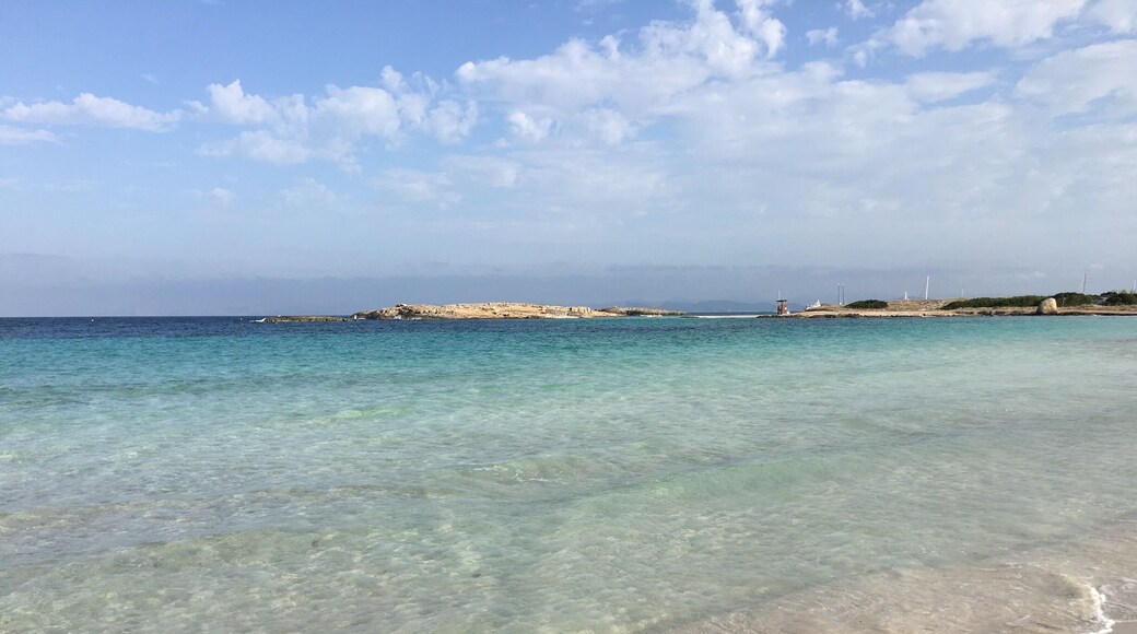 Ses Illetes in Formentera - Paradise!!! No filtered photo. Looks like the Caribbean but this is Spain!!! One of the highest rated beaches in the world, Ses Illetes is a protected beauty #lifeatexpedia