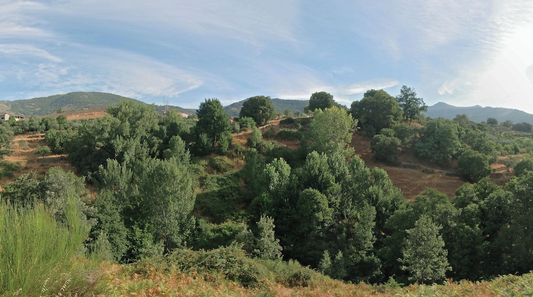 Losar de la Vera (Cáceres, España).