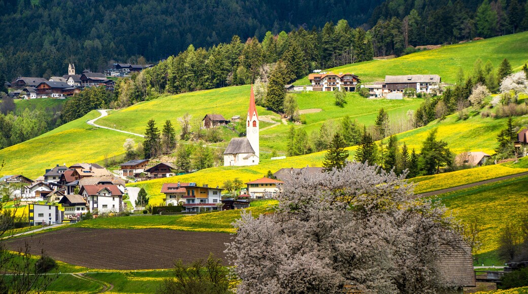 ํ๋ฅด์นด