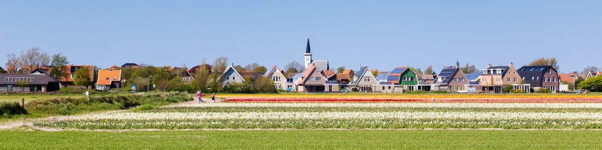 Web banner Den Hoorn a small village on the wadden islands Texel in the Netherlands, with colourful tulips in the front