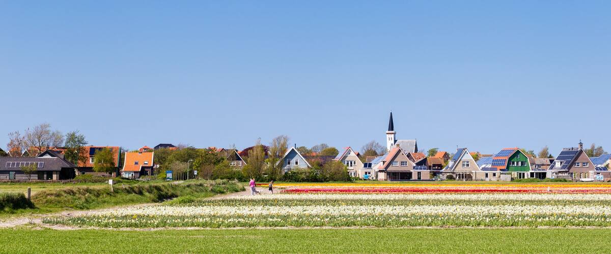 A town with colorful houses, a church, and a tulip field.