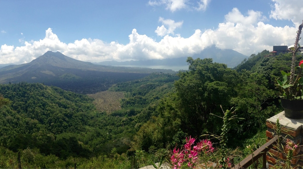 Go for a bikeride when in Ubud - we started from this spot and went downhill through risepaddies and small villages