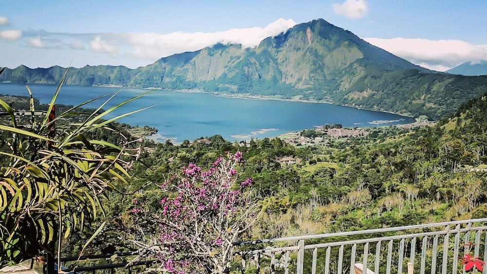 Un paysage côtier comprenant une montagne, une étendue d’eau et une végétation luxuriante.