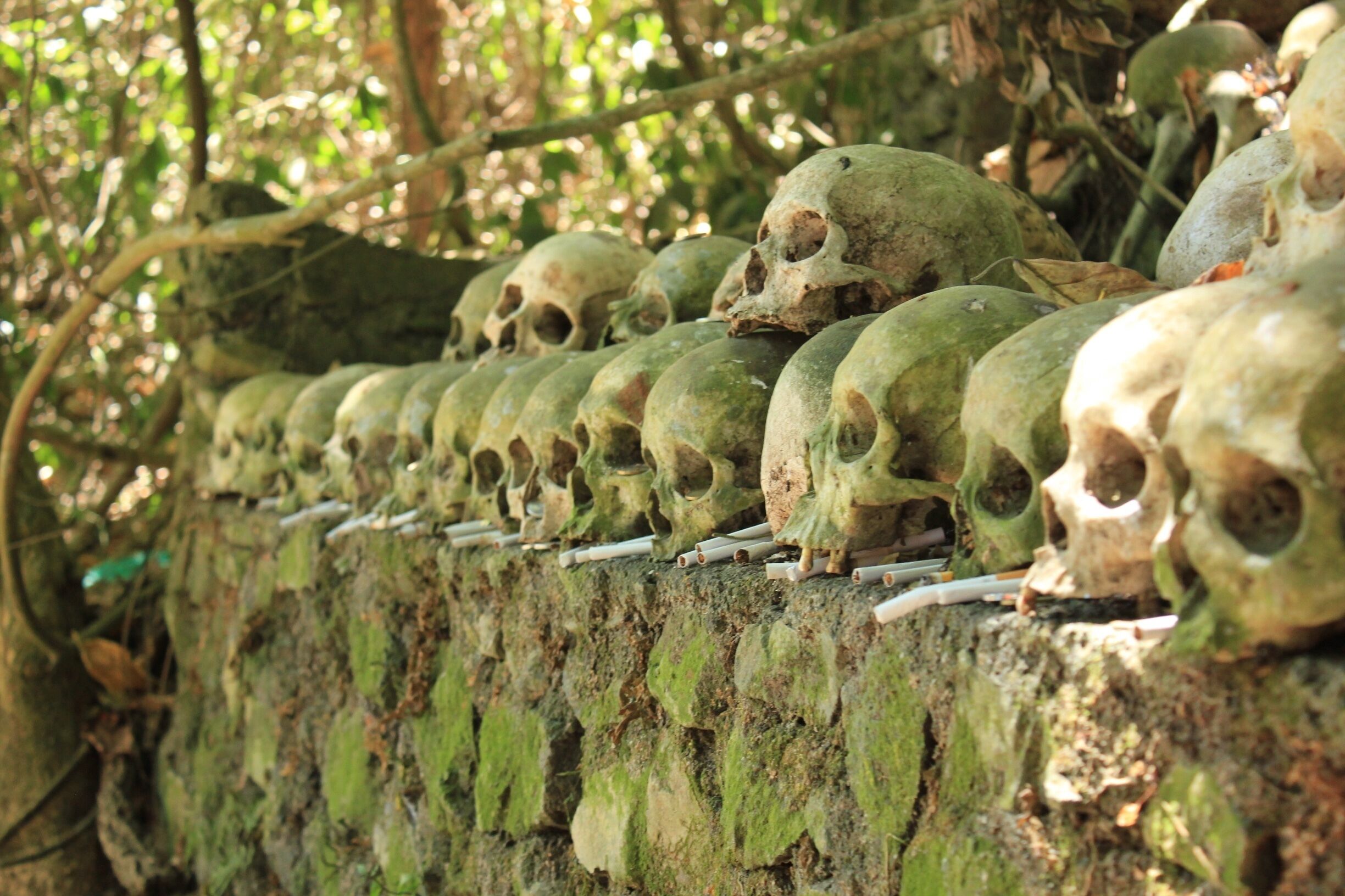 smoking death. 

a place in trunyan village, bali. a body in this village just laid around a tree named tarumenyan. they're not buried. 