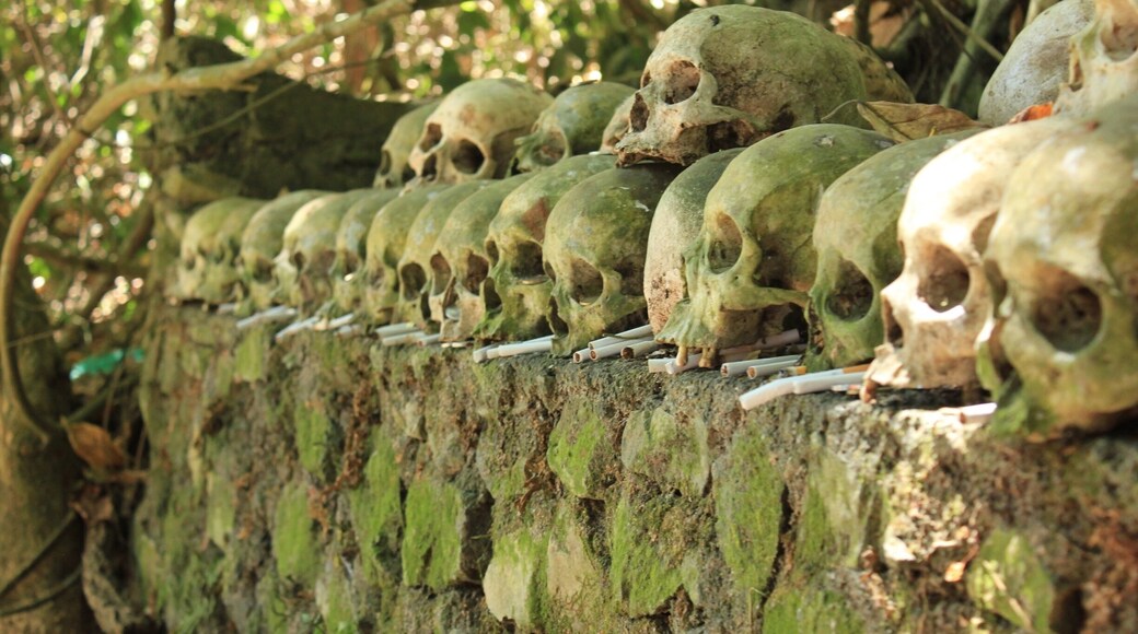 smoking death.
a place in trunyan village, bali. a body in this village just laid around a tree named tarumenyan. they're not buried.