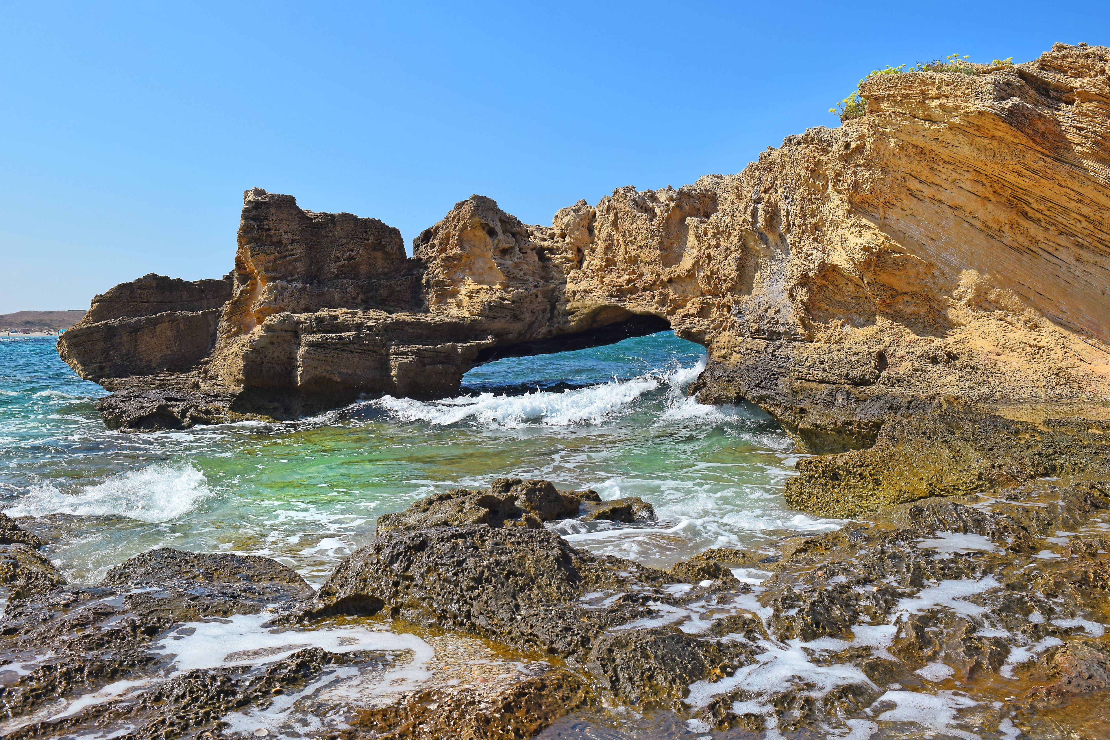 sandstone cliffs at the Nahsholim beach, north of Israel