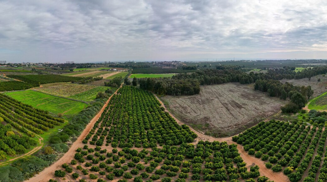 High resolution panorama image of Rehovot Winter Pond before the flood- Rehovot Israel