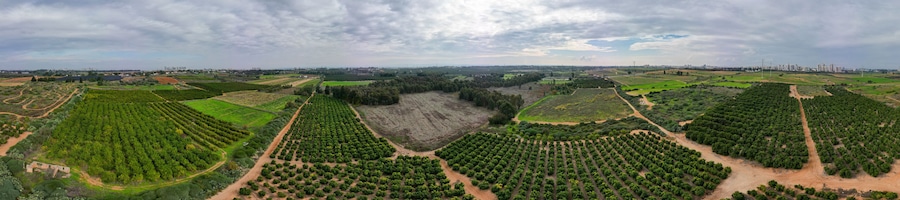 High resolution panorama image of Rehovot Winter Pond before the flood- Rehovot Israel