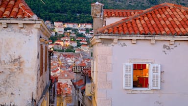 Dubrovnik Old Town showing a city