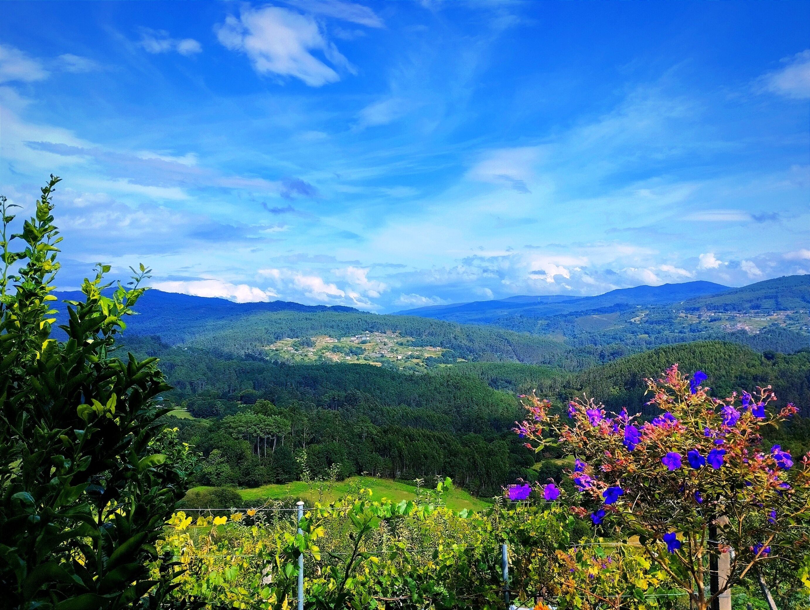 Paraje en Mondariz-Balneario, Galicia