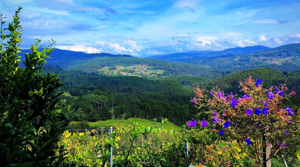 Paraje en Mondariz-Balneario, Galicia