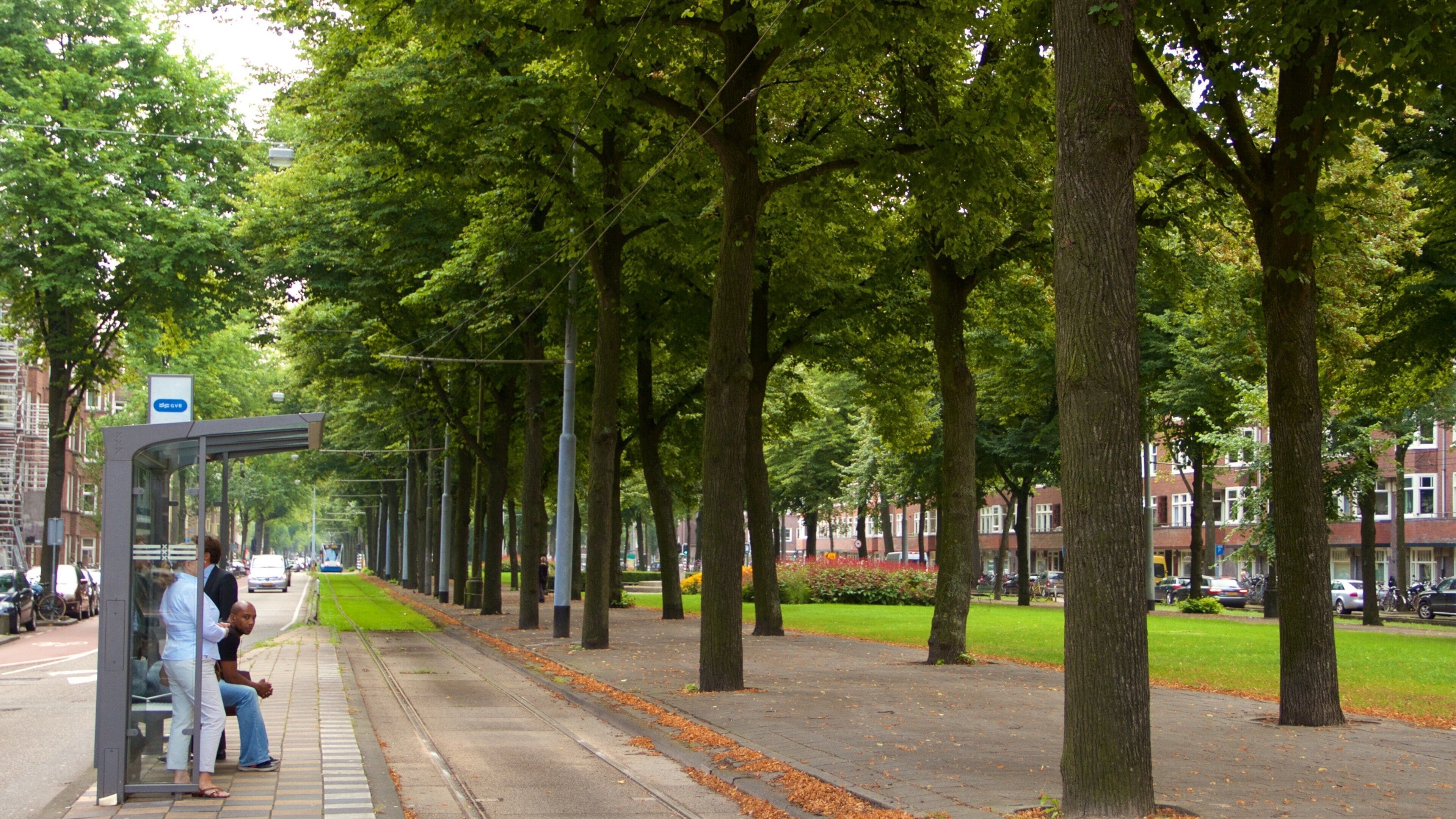 Amsterdam Southeast featuring a garden