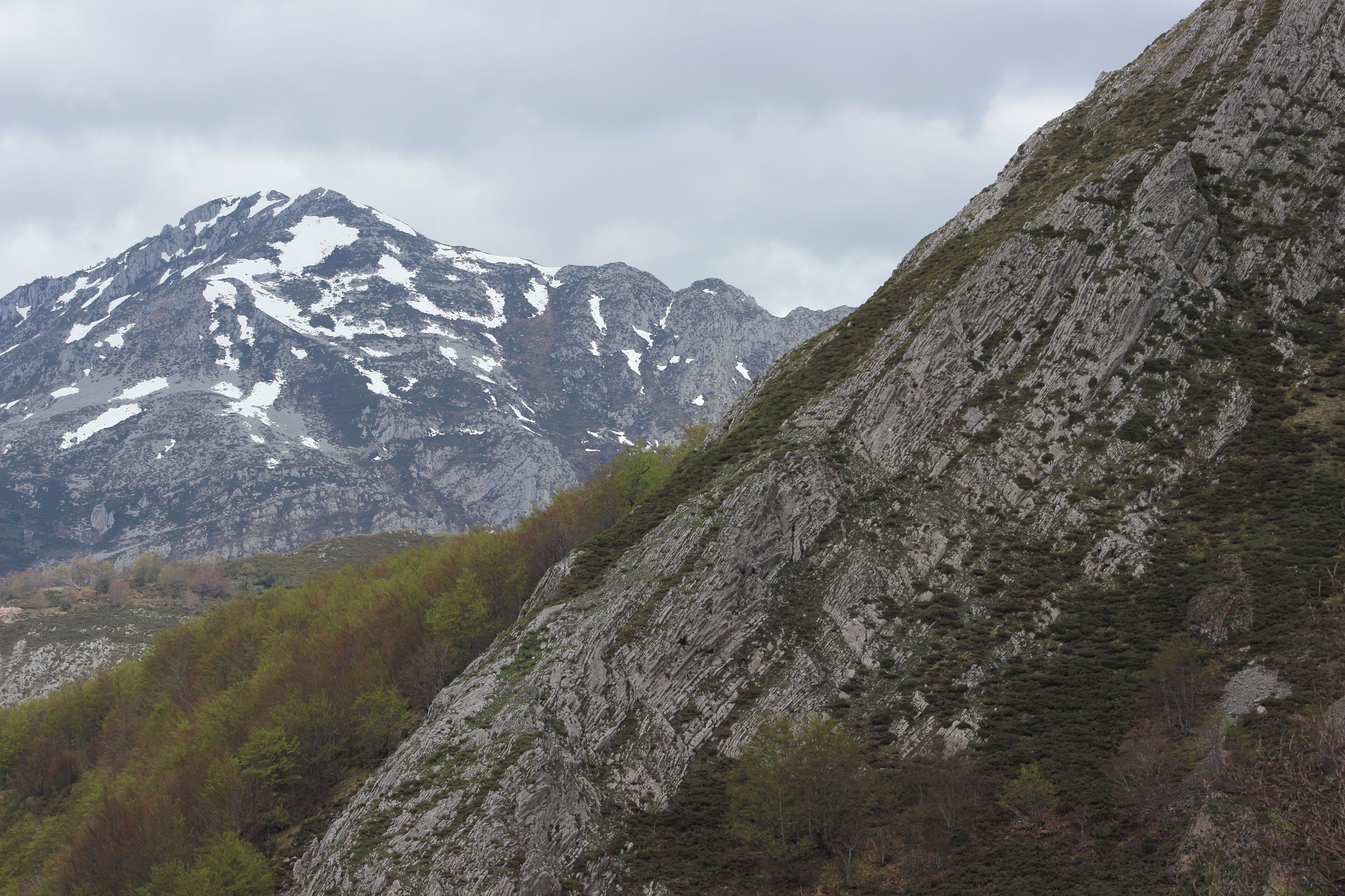 This is a photography of a Site of Community Importance in Spain with the ID:
