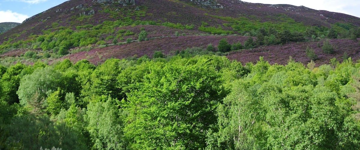 Puebla de Lillo, León, Spain