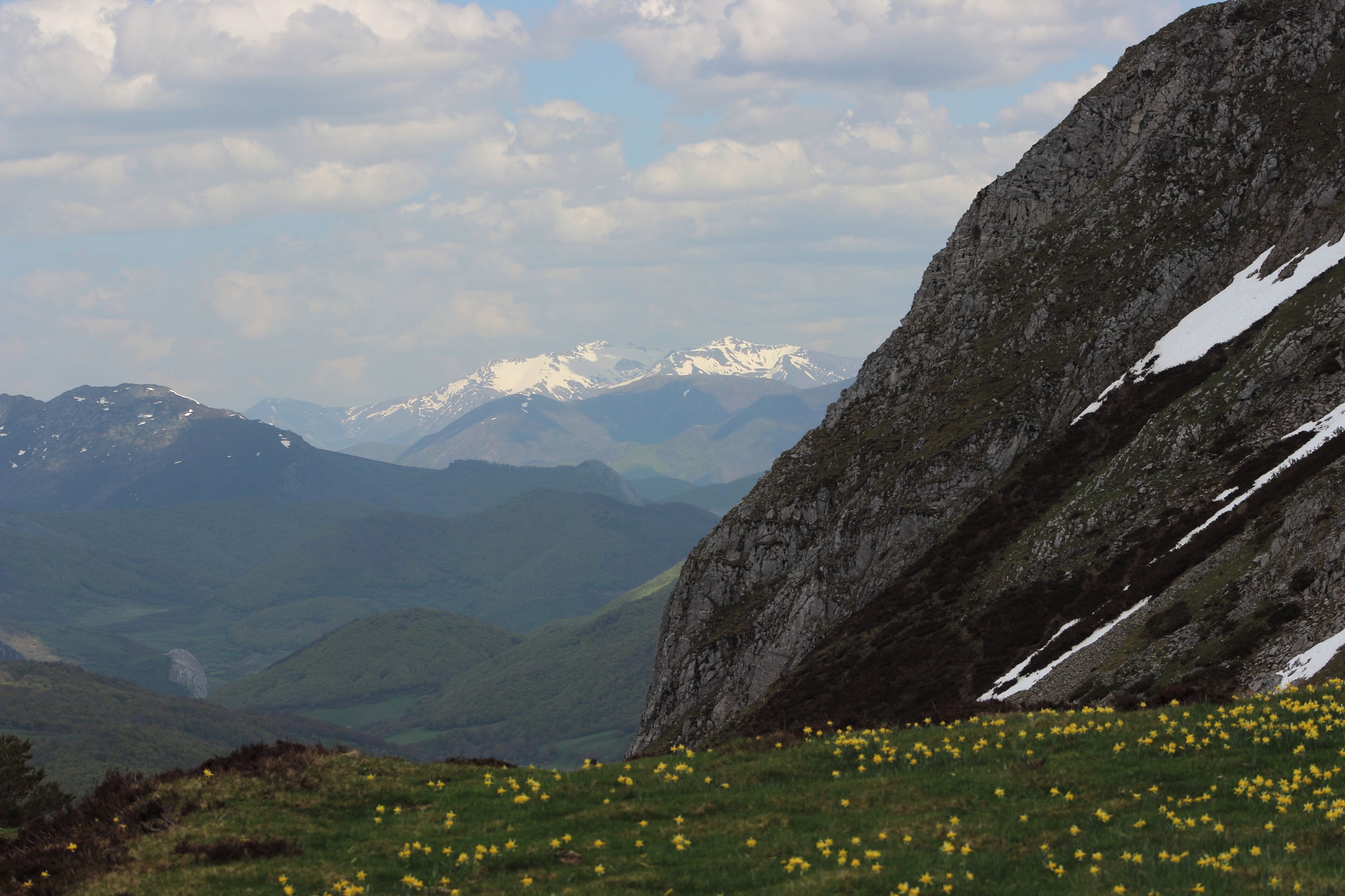 A mountainous landscape with snow-capped peaks, a rocky outcrop, and a field of yellow flowers.
