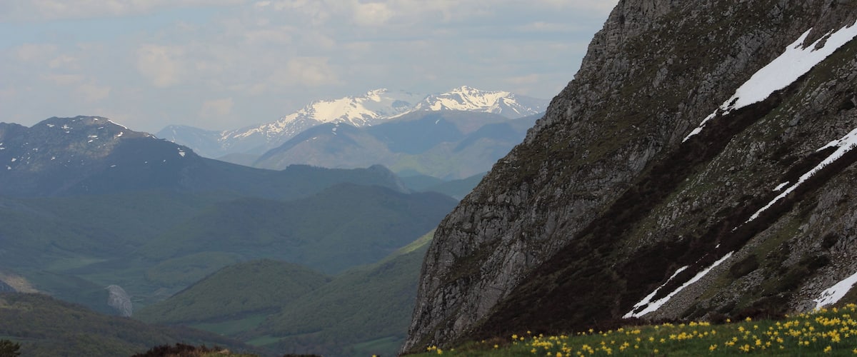 A mountainous landscape with snow-capped peaks, a rocky outcrop, and a field of yellow flowers.