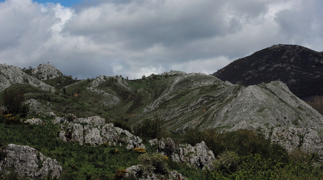 This is a photography of a Site of Community Importance in Spain with the ID: