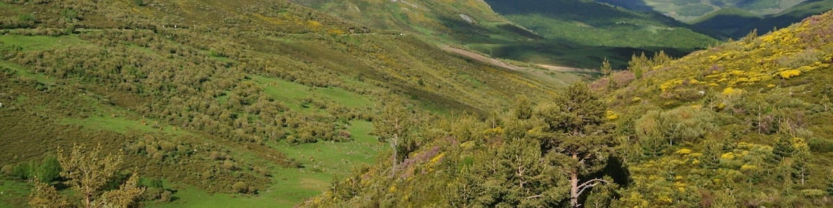 Puebla de Lillo, León, Spain