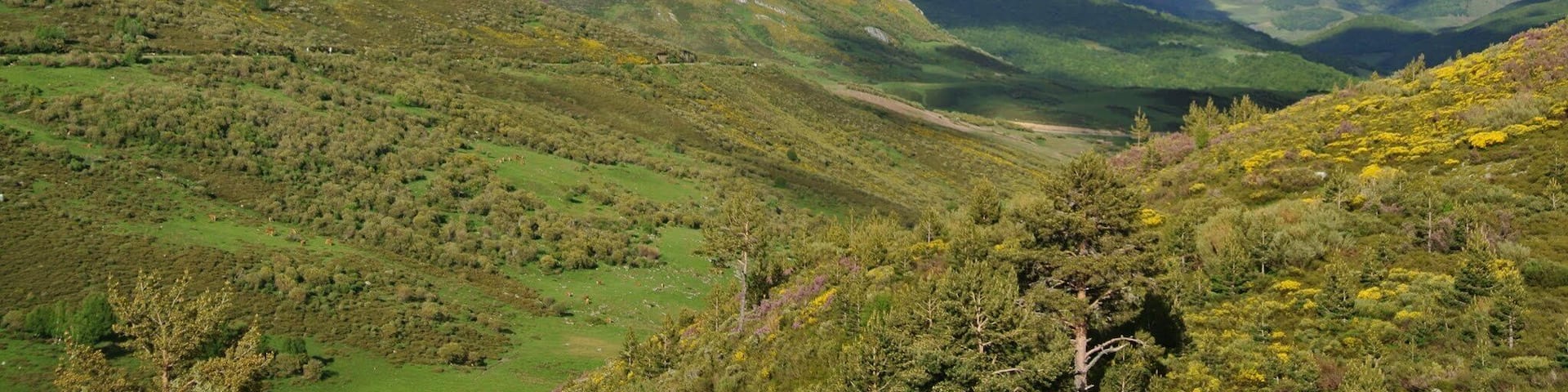 Puebla de Lillo, León, Spain
