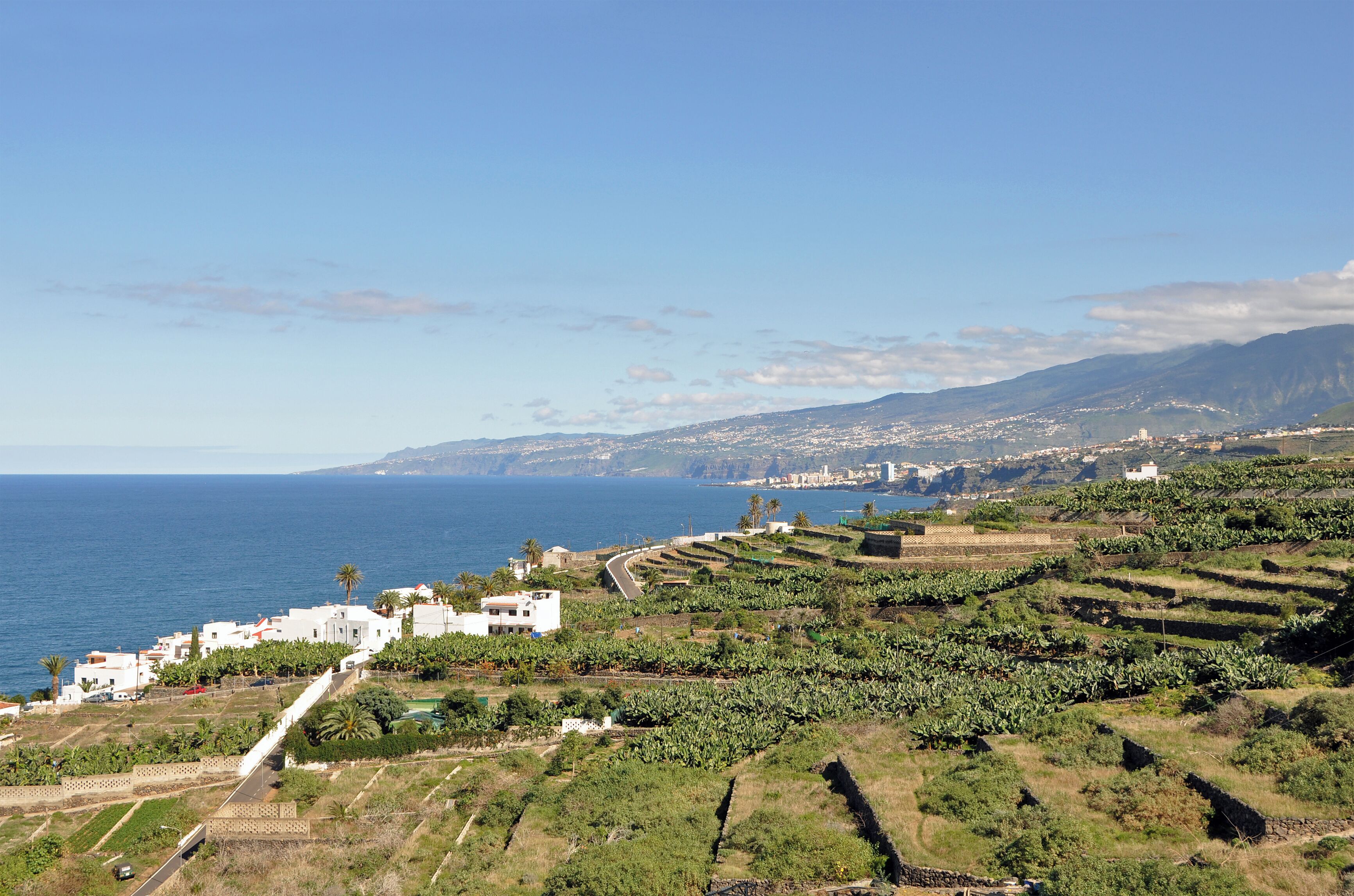 Tenerife (Canary Islands, Spain): the north coast between Puerto de la Cruz and Icod de los Vinos
