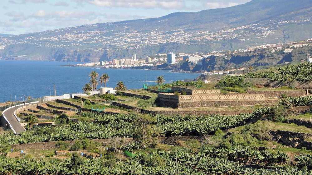 Tenerife (Canary Islands, Spain): the north coast between Puerto de la Cruz and Icod de los Vinos