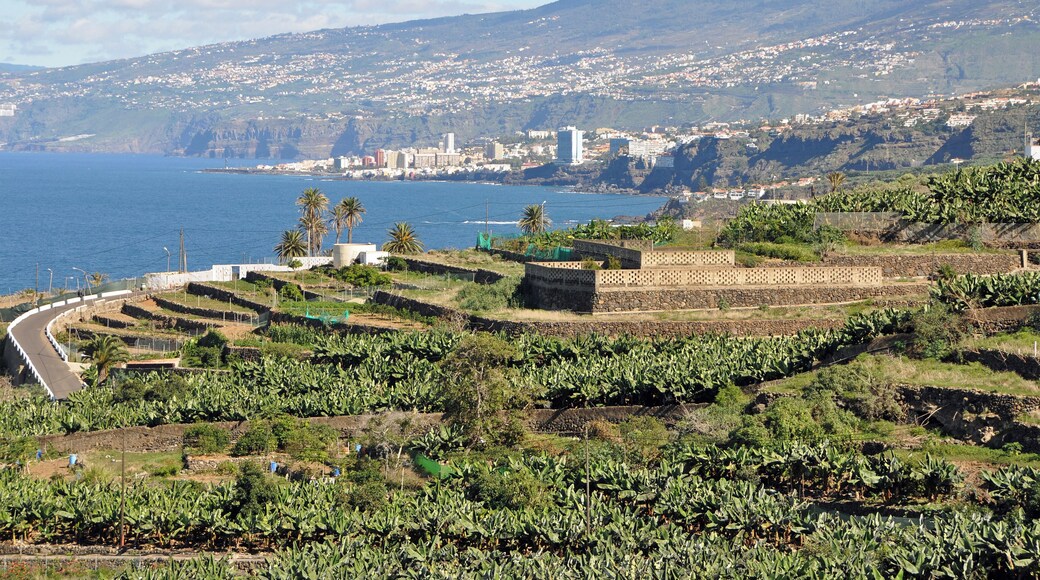 Tenerife (Canary Islands, Spain): the north coast between Puerto de la Cruz and Icod de los Vinos