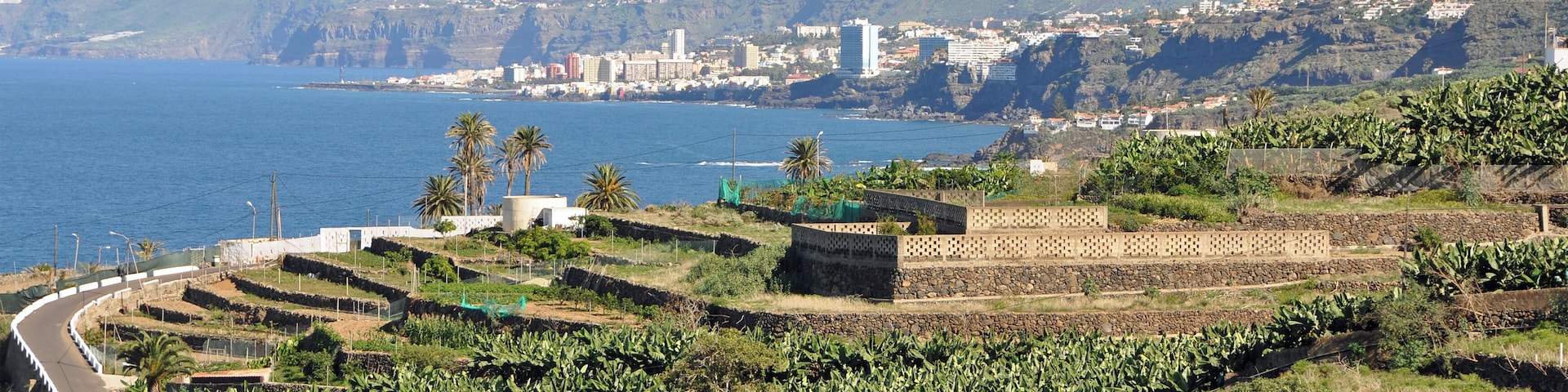 Tenerife (Canary Islands, Spain): the north coast between Puerto de la Cruz and Icod de los Vinos