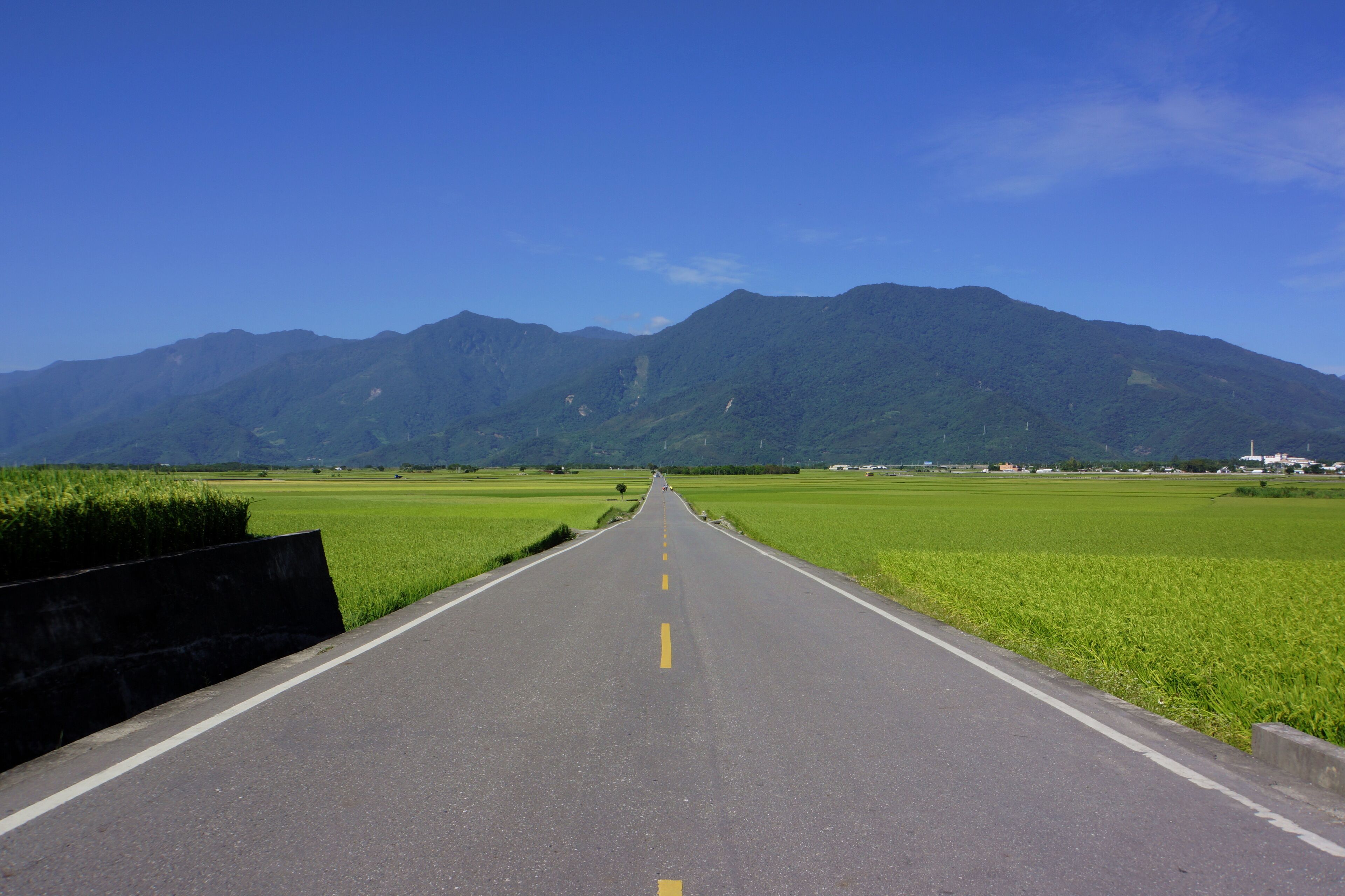 伯朗大道 Mr Brown Coffee Avenue