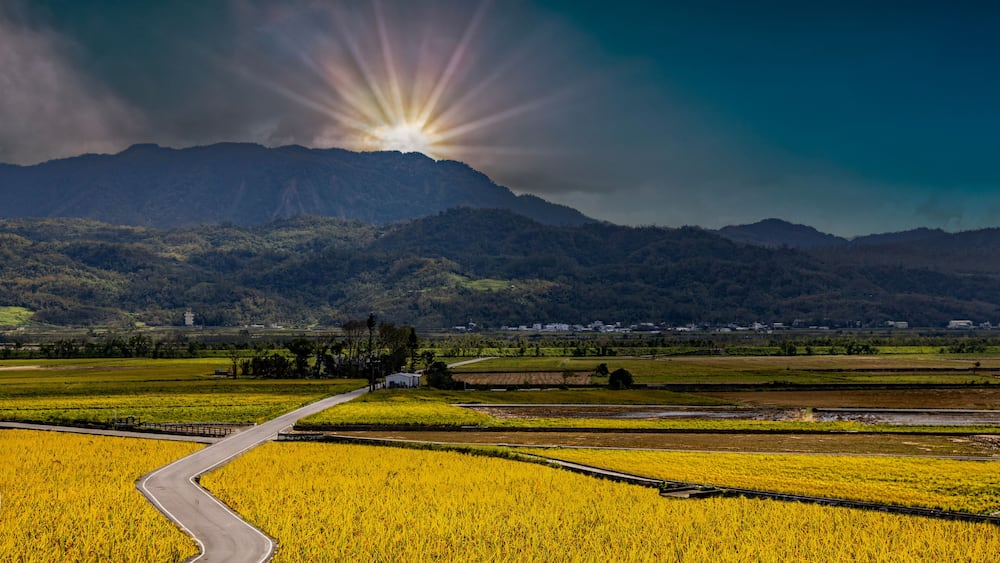 A winding road through golden fields with a mountain range in the background.
