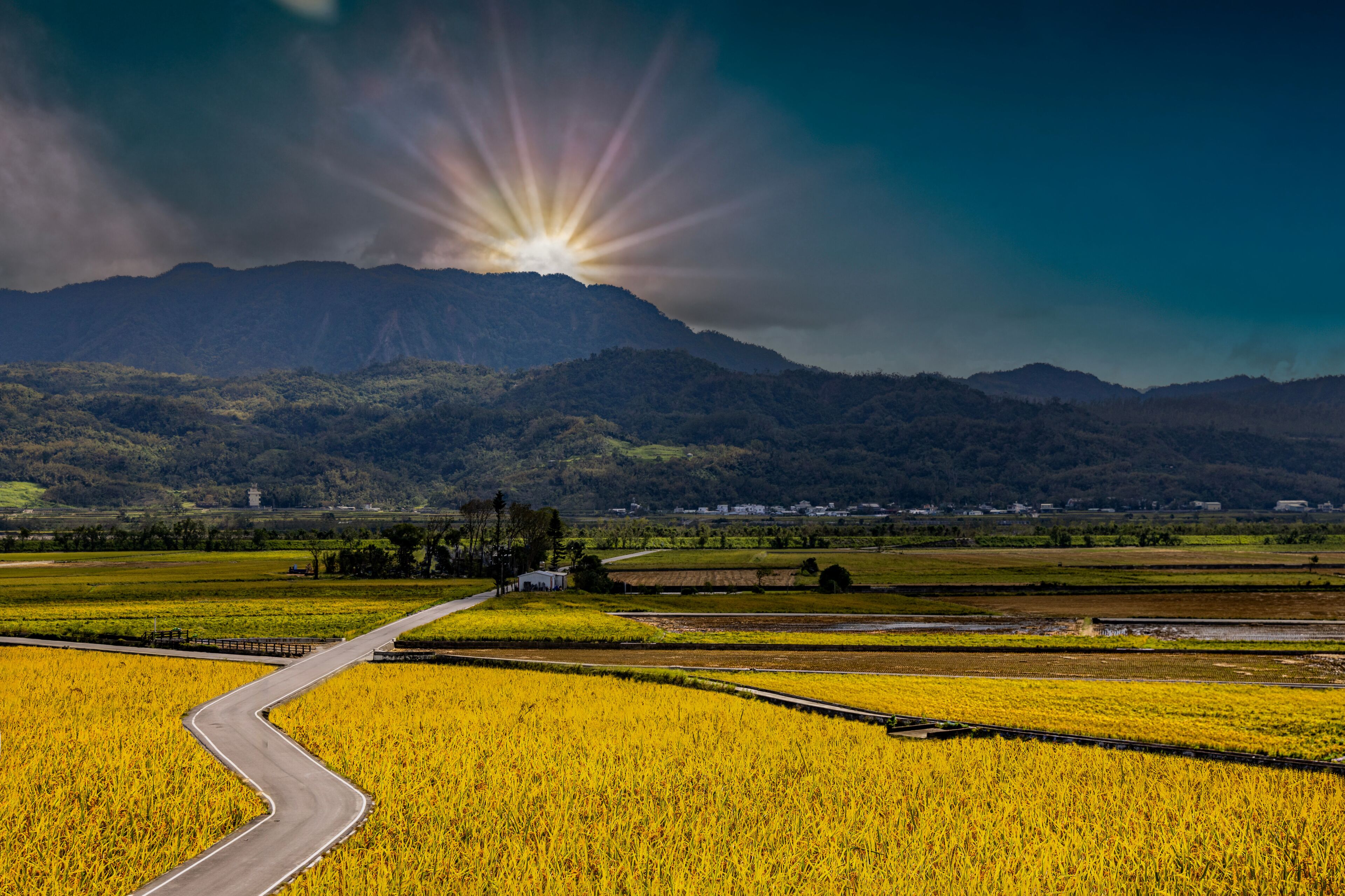 A winding road through golden fields with a mountain range in the background.