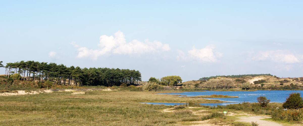 A coastal landscape with a sandy beach, a small inlet, and a dense forest in the background.