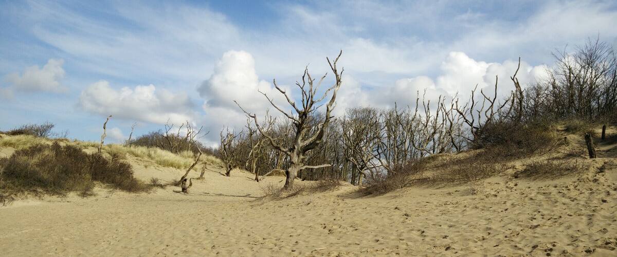 Sand dunes surrounding small lake at the edge of Nationaal Park Zuid-Kennemerland. It is allowed to swim in the lake. The surrounding area is marked as "OK to play here". There is Cafe / Educational Center "Bezoekerscentrum De Kennemerduinen" nearby.