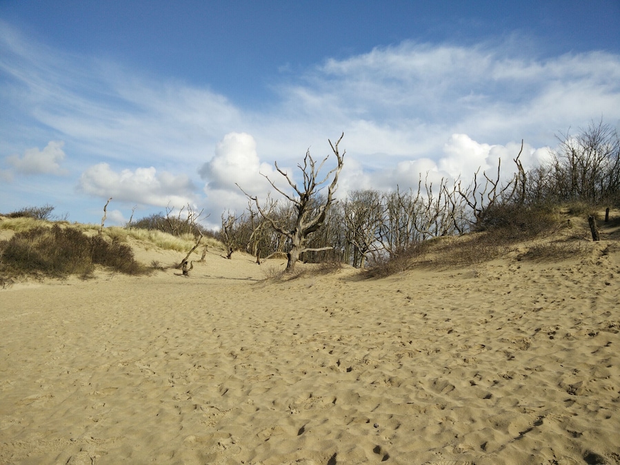 Sand dunes surrounding small lake at the edge of Nationaal Park Zuid-Kennemerland. It is allowed to swim in the lake. The surrounding area is marked as "OK to play here". There is Cafe / Educational Center "Bezoekerscentrum De Kennemerduinen" nearby.