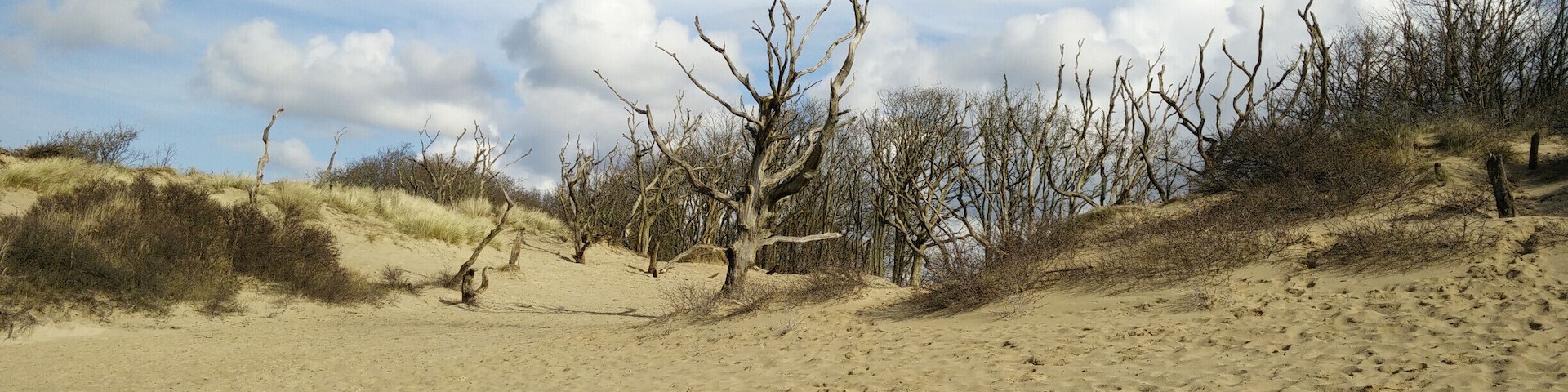 Sand dunes surrounding small lake at the edge of Nationaal Park Zuid-Kennemerland. It is allowed to swim in the lake. The surrounding area is marked as "OK to play here". There is Cafe / Educational Center "Bezoekerscentrum De Kennemerduinen" nearby.