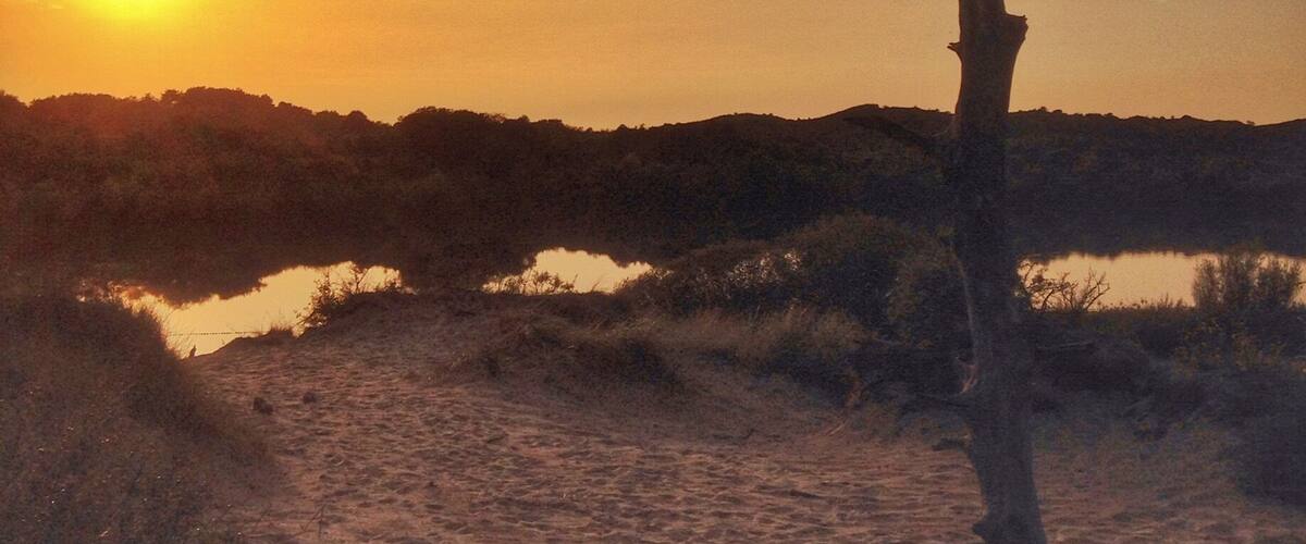 It's like running into sand dunes in a forest. A sunset makes everything more beautiful. #NationalPark