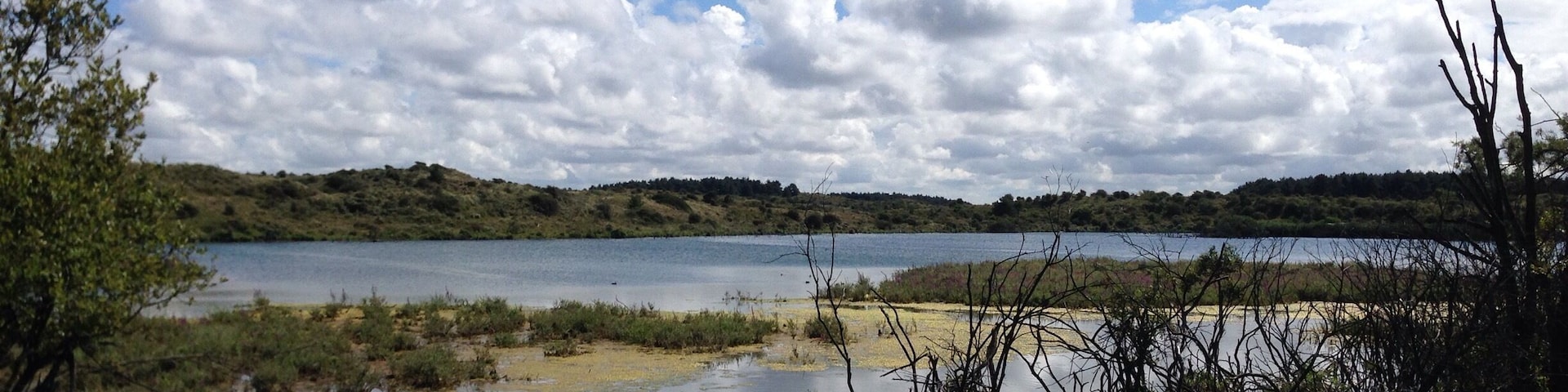 #LoveMyTown Bowmen's Bay, perfect inlet to kayak no matter the weather #PNW #GoOutside #Explore 🚣🏼