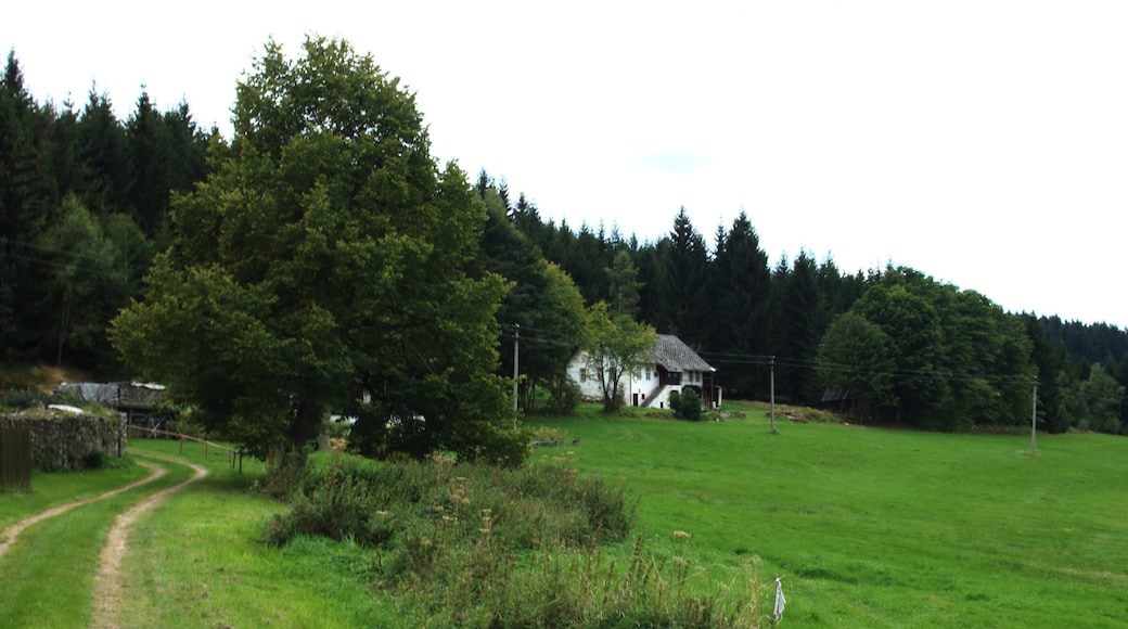 Countryside around Jáchymov, part of the town of Stachy, South Bohemian Region, CZ