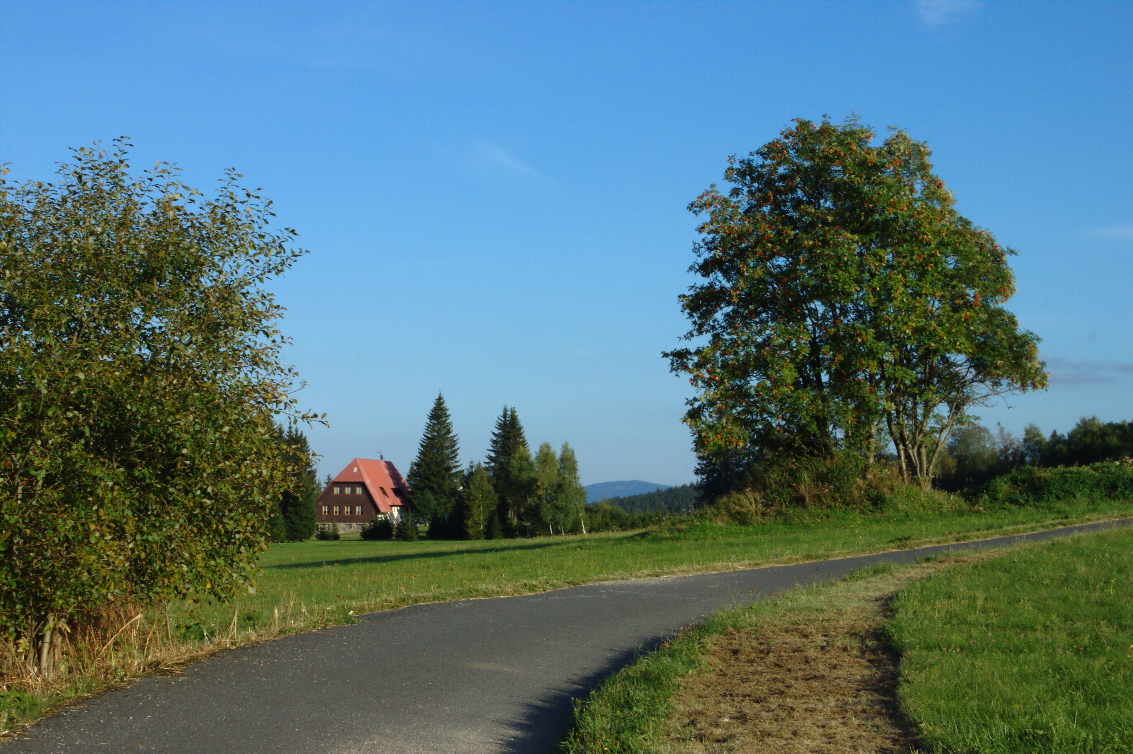 A road from local forest to the village in Churáňov, South Bohemian Region, CZ