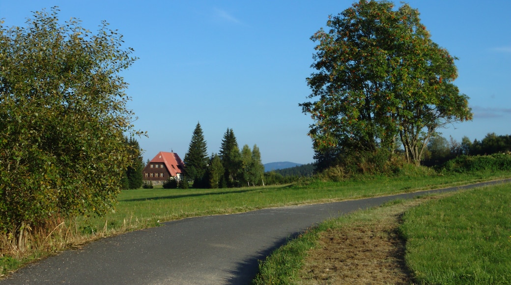 A road from local forest to the village in Churáňov, South Bohemian Region, CZ
