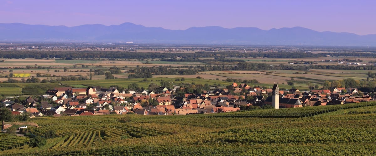 A town nestled in a valley with vineyards and a prominent church tower.