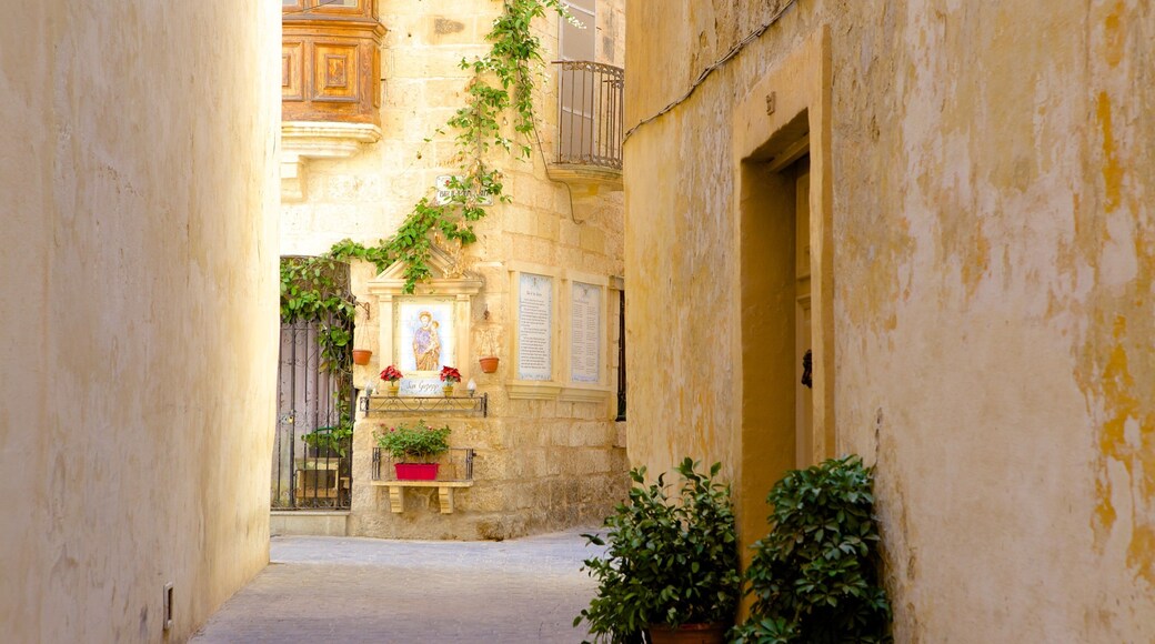 Rabat mostrando strade, architettura d\'epoca e casa